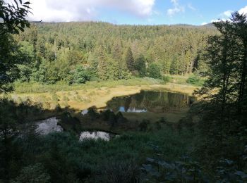 Excursión Senderismo Séchilienne - col de pousse bœufs 2020 - Photo