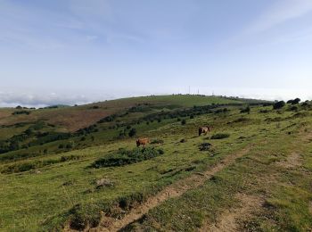 Tocht Stappen Ganac - Prat d'Albis - Photo