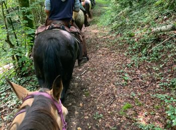 Trail Horseback riding Charency-Vezin - 2ème jour chez Juliette  - Photo