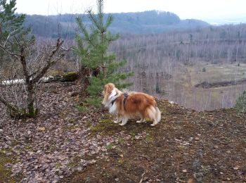 Tocht Stappen Differdange - Fond de Grass2 - Photo