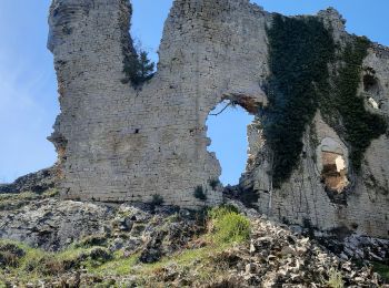 Excursión Senderismo Publy - Le château Beauregard  - Le château de Binan - Photo