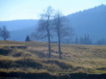 Tour Zu Fuß  - Ruiny szkoły - do Harrachova (granica) - Photo