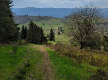 Tocht Stappen Waldersbach - col de la perheux 30.4.23 - Photo