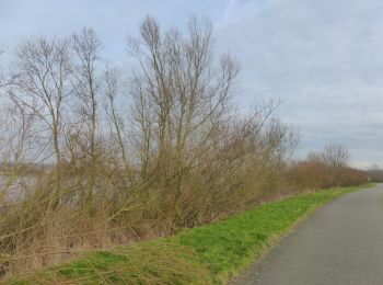 Tour Zu Fuß Temse - Roomacker Wandelroute - Photo