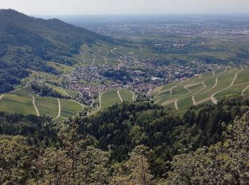 Percorso A piedi  - Yburg Rundweg - Photo