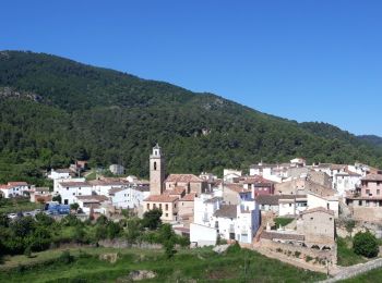 Tocht Te voet Montanejos - Trans- Espadan - Photo