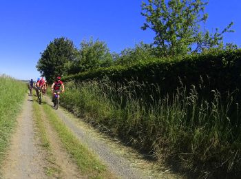 Randonnée V.T.T. Cerfontaine - VTT entre les lac de Silenrieux - Photo