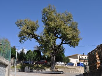 Tocht Te voet Vidrà - Vidrà-Puig de les Àligues - Photo