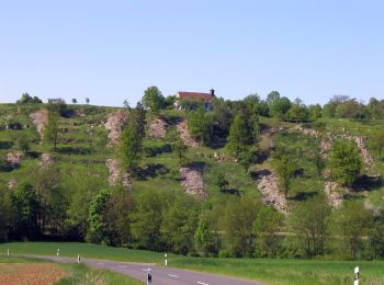 Excursión A pie Aub - Liebliches Taubertal 26 Zur St. Kunigunde - Photo