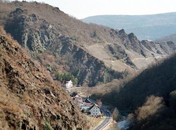 Randonnée A pied Altenahr - Altenahr Rundweg 2 - Photo