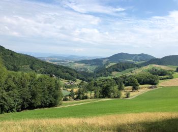 Tour Zu Fuß Kienberg - Kienberg - Saalhöhe - Photo