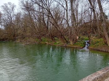 Tour Wandern Saint-Maurice-sur-Adour - Saint maurice - Photo