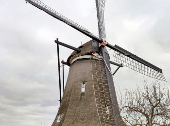 Randonnée Marche Molenlanden - Les moulins de Kinderdijk (8,6km)  - Photo