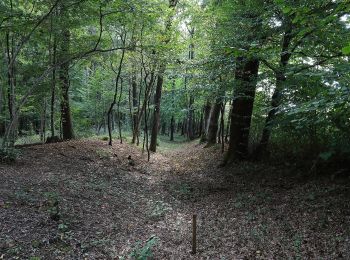 Tocht Te voet Lebring-Sankt Margarethen - Hengist Kulturwanderweg Teufelsgrabenrunde - Photo