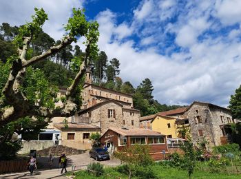 Randonnée Marche Chambon - du Luech à l'Homol - Photo