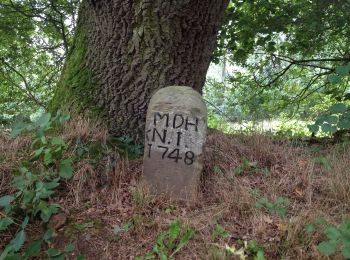 Tocht Te voet Immenhausen - Ahlberg-Reinersen-Rundweg - Photo