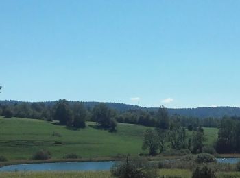 Excursión Senderismo Chaux-des-Crotenay - GPX_Lac_à_La_Dame - Photo