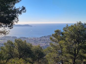 Tour Wandern Carqueiranne - la grotte du paradis  - Photo