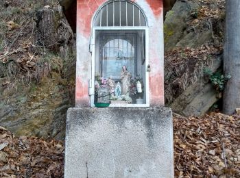 Percorso A piedi Mezzenile - IT-204 - Photo