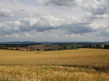 Tocht Te voet Hammersbach - Panoramaweg - Photo