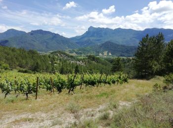 Randonnée Marche Saillans - Saillans Chplle St Christophe 14km - Photo