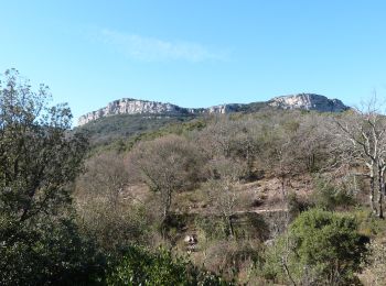 Excursión Senderismo Seynes - M'ont Bouquet - Photo