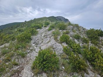 Excursión Senderismo Teyssières - Randonnée au départ de Teyssières (Le Cougoir, La Lance) - Photo