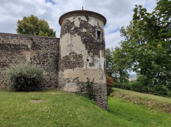 Trail Walking Marcoux - Ballade au volcan Montaubourg  - Photo