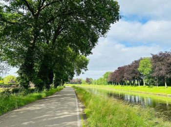 Tour Wandern Lanaken - maasvallei-oud-rekem-startplaats-colmonterveld-p19-groen - Photo