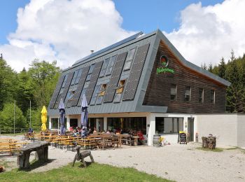 Randonnée A pied Gemeinde Bürg-Vöstenhof - Payerbach Bahnhof - Waldburgangerhütte - Friedrich Hallerhaus - Gadenweith - Photo