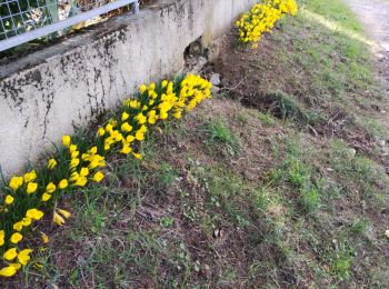 Randonnée Marche Chantemerle-les-Blés - Chantemerle les blés  - Photo