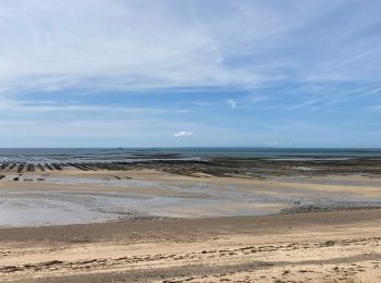 Randonnée Marche Gouville-sur-Mer - Les cabanes de gouville sur mer - Photo