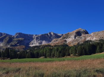 Excursión Senderismo Le Dévoluy - Vallons de la Corne et d'Ane  - Photo