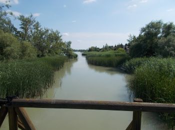 Tour Zu Fuß Unbekannt - K négyzet - Photo