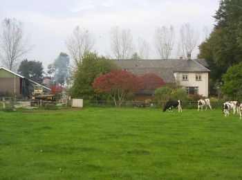 Tour Zu Fuß Bronckhorst - Keijenborg Route - Photo
