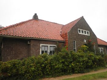 Tour Zu Fuß Terschelling - Tiger en Van Hunenplak - Photo