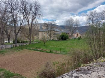 Trail Walking Saint-Jean-du-Bruel - Le roc nantais - Photo