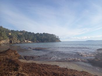 Randonnée Marche Rayol-Canadel-sur-Mer - Rayol 21.1.23 - Photo