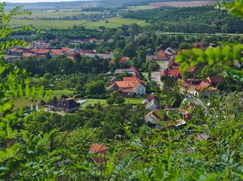 Percorso A piedi Kunštát - [Ž] Svitávka - Rudka - Photo