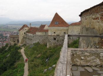 Trail On foot Brasov - Brașov (Solomon) - Poiana sub Padină - Râșnov - Photo