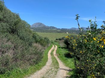 Trail Walking Casares - Cassâtes - Photo