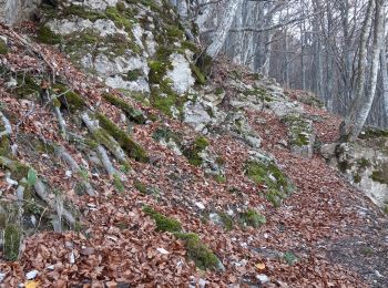 Randonnée Marche Bouvières - mielandre par le pin - Photo