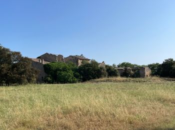 Excursión Senderismo Alleins - PF-Alleins - Chapelle Saint-Jean - Rousset - Tour Vieille - Vallon de Valcros - MR - Photo