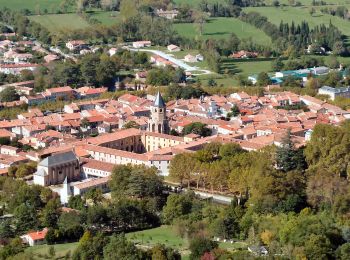 Randonnée Marche Durfort - Durfort - Vernicaut - Photo