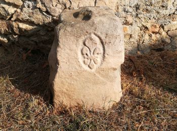 Percorso Marcia Châteaufort - Rigole de Chateaufort - Photo