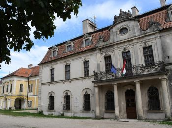 Percorso A piedi Iszkaszentgyörgy - ZT (Kastélybirtok tanösvény, Iszkaszentgyörgy) - Photo