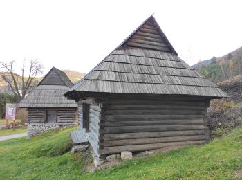 Tocht Te voet okres Ružomberok - Hubovský okruh - Photo