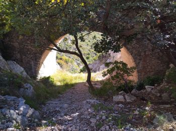 Tour Wandern Évenos - Cap Gros et tour des Quatres Auros - Photo