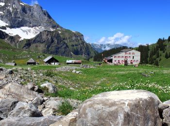 Trail On foot Engelberg - Walenpfad - Photo