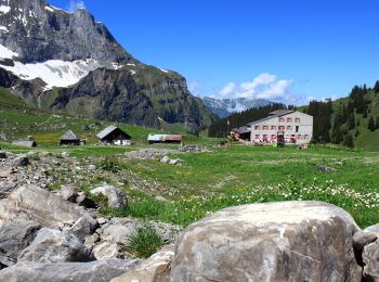 Randonnée A pied Engelberg - Walenpfad - Photo